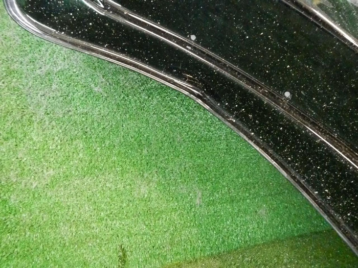 DSCN5754.jpg