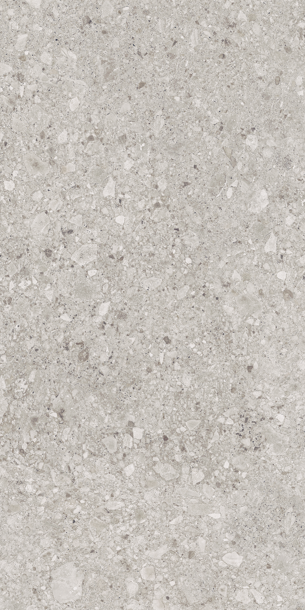 Керамогранит, LB Ceramics, Иней, 600x1200 мм, Серый, Матовая, Плоская
