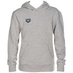 Спортивная толстовка Arena Team Line HOODIE unisex (серая)