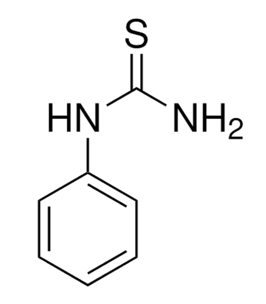 Фенилтиомочевина