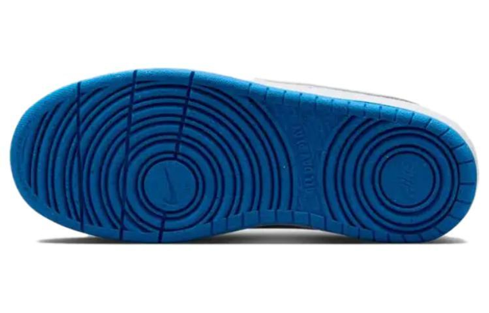 Женские кроссовки Nike Court Borough Low Recraft 'Platinum Cool Grey Photo Blue' DV5456-019