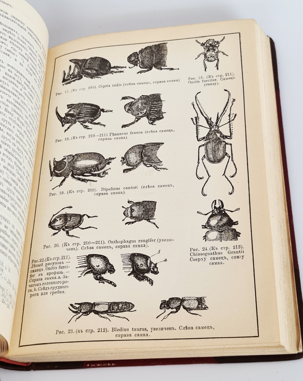 "Собрание сочинений.  В четырех томах."  Ч.Р.Дарвин. 1901 г.
