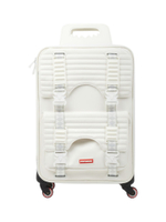 Чемодан Sprayground
