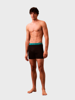 Мужские трусы боксеры-брифы Calvin Klein Cotton Classics 5-Pack Black / Green Multi