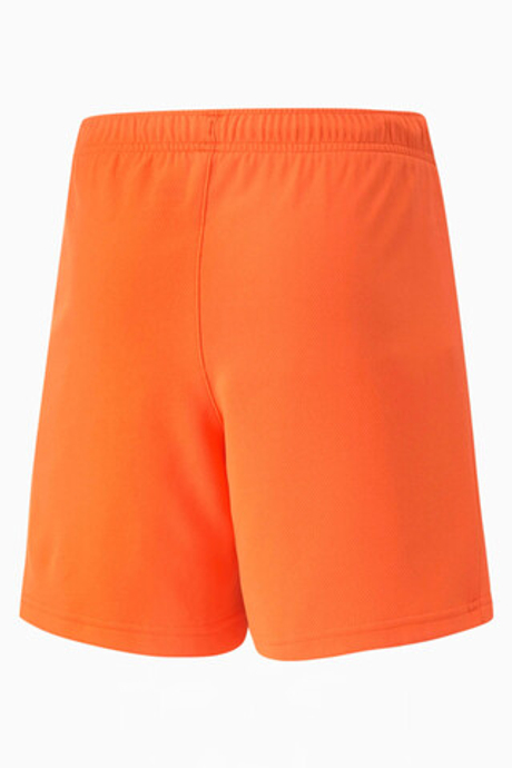 Шорты Puma teamRISE Junior