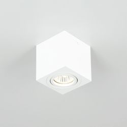 Citilux Дюрен CL538211 Светильник накладной поворотный Белый