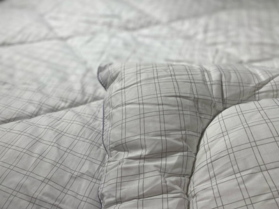 Одеяло "Оригинал Лебяжий пух" пл. 300г/м2 (ИвШС)