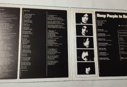 Винтажная виниловая пластинка LP Deep Purple In Rock (Japan 1976) (No Obi) P-10108W