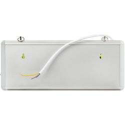 Аварийный светильник ЭРА SSA-101-1-20 светодиодный 3ч 3Вт ВЫХОД-EXIT односторонний