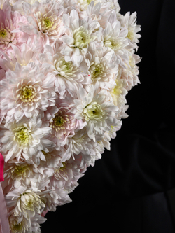 Нежное признание