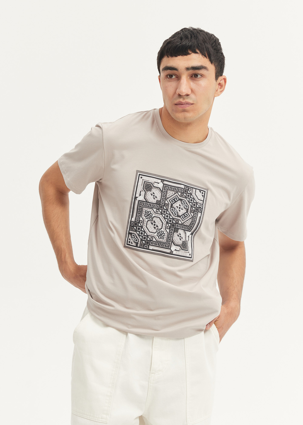 Мужская футболка серая, (принт 72-02), р.XL