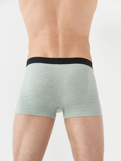 Набор мужских боксеров TMS3-1795/3