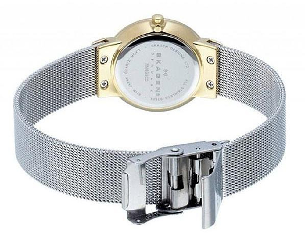 Женские наручные часы Skagen 358SGSCD