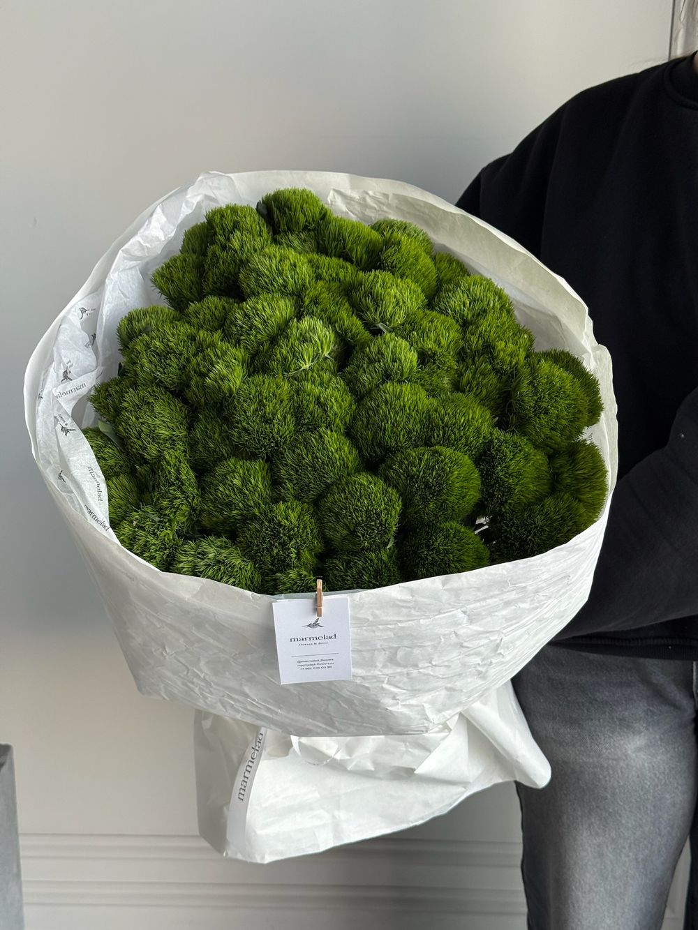 Моно букет из диантусов сорта Грин трик 51 шт