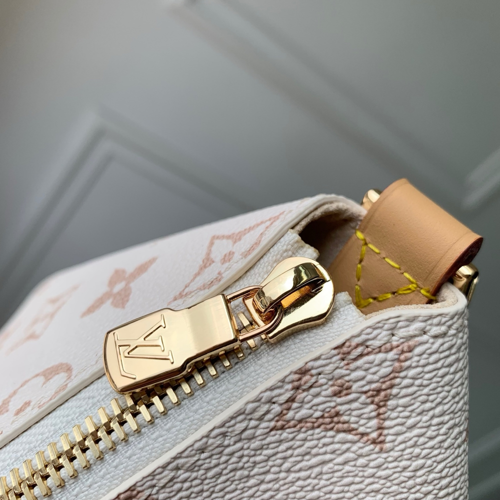 Louis Vuitton Multipass