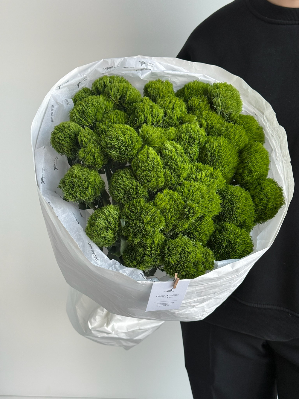 Моно букет из диантусов сорта Грин трик 35 шт