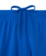 Шорты игровые Jogel DIVISION PerFormDRY Union Shorts, синий Z2