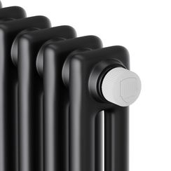 Дизайн-радиатор Royal Thermo Insignia VC2180 - 10 секц. RAL9005m