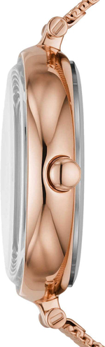 Женские наручные часы Skagen SKW2980