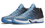Кроссовки Jordan Air Jordan 29 Low Unc
