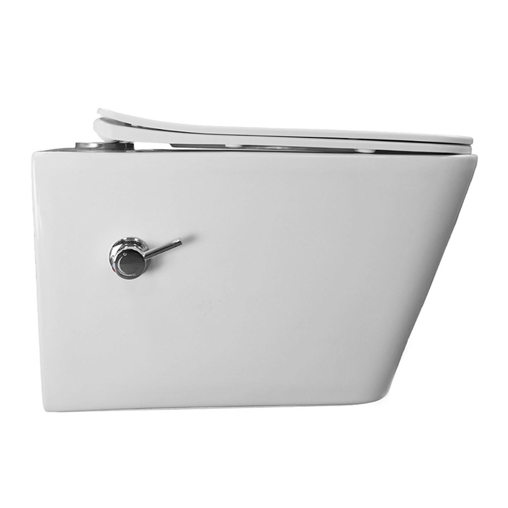 Унитаз подвесной Azario Dezi White BD 355х515х340 безободковый, с функцией биде, с быстросъемным сиденьем "Микролифт" (AZ-W05-SWBD)