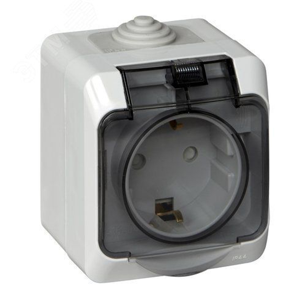 Розетка с з/к, с шторками с защитной крышкой Этюд PA16-044В Systeme Electric