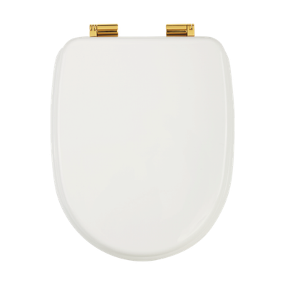 Сиденье для унитаза Migliore Gianeta 20954 с микролифтом, цвет: белый/золото