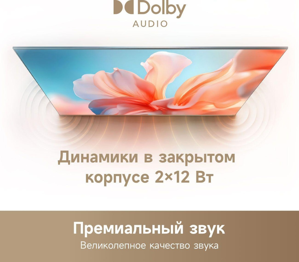 Телевизор DREAME Smart 32Q10 81 см черный