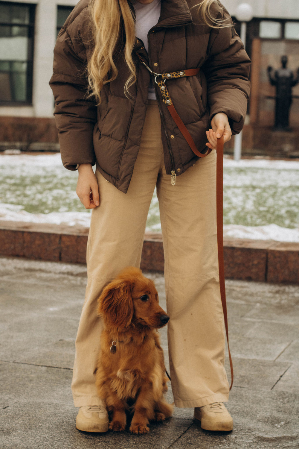 Перестежка поводок для собак 20 мм , 5 м коричневый и леопард