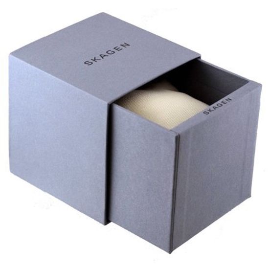 Титановые мужские часы Skagen 233XLTTM
