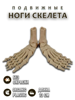 Ноги скелета