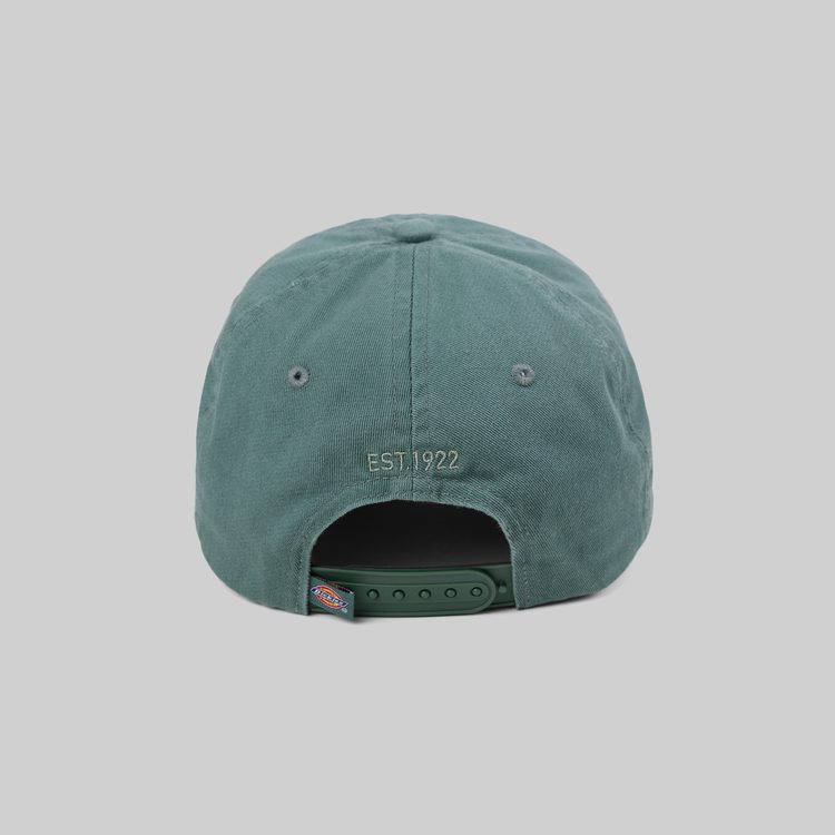 Кепка Dickies Hardwick 6 Panel Logo артикул:DK0A4TKVH151 - купить в магазине Дайс