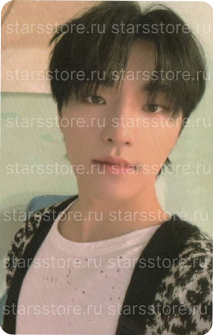 Фотокарта Dino SEVENTEEN - Attacca CARAT Ver.