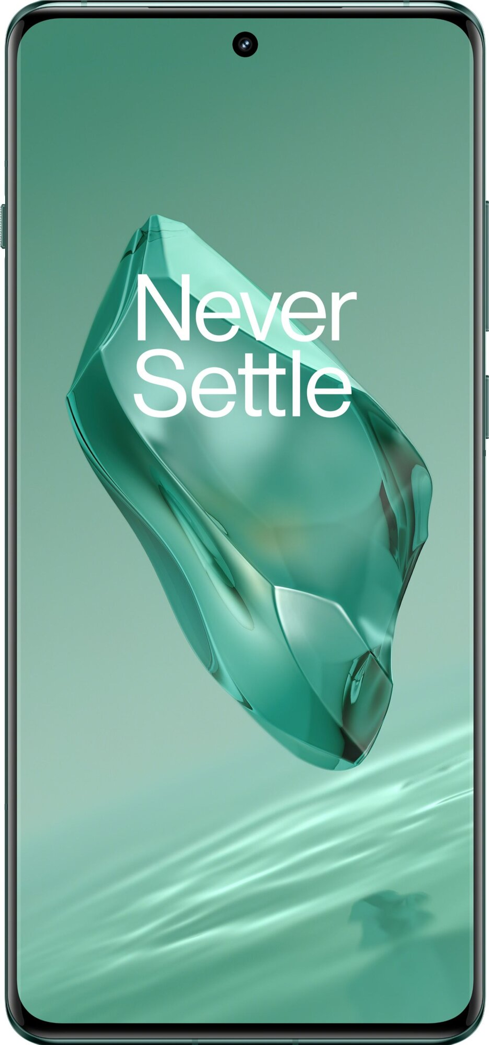 OnePlus 12 16/512Gb Flowy Emerald