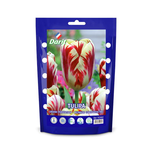 ЛУКОВИЦЫ ТЮЛЬПАН ТРИУМФ GRAND PERFECTION 11/12, DARIT 5 ШТ/УП
