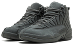 Кроссовки Jordan Air Jordan 12 Retro Psny