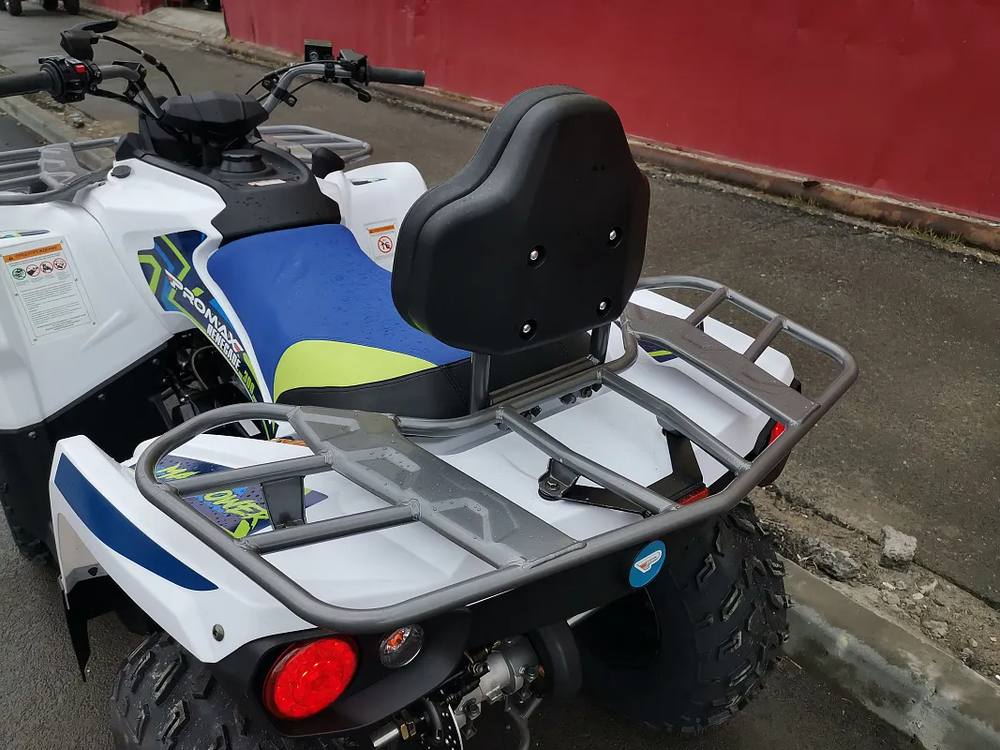 Квадроцикл PROMAX RENEGADE 280 (2025)