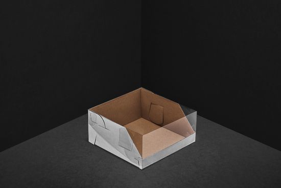 Короб с прозрачной крышкой 22,5 х 22,5 х 10 см для тортов до 1,5 кг