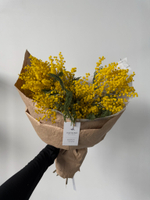 Букет из мимозы