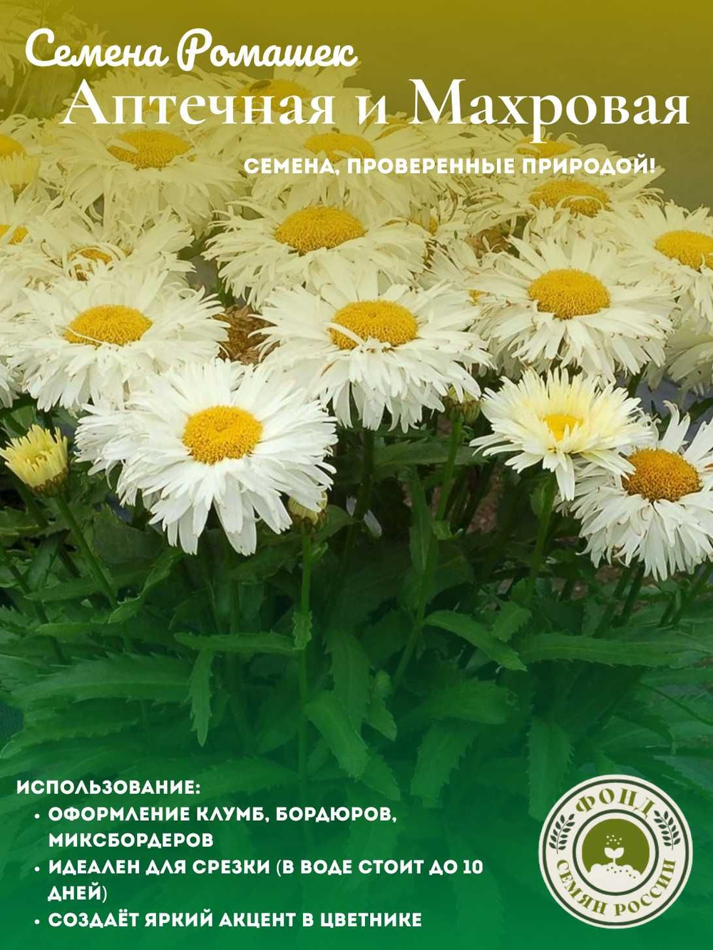 Набор семян Ромашек, 2 упаковки