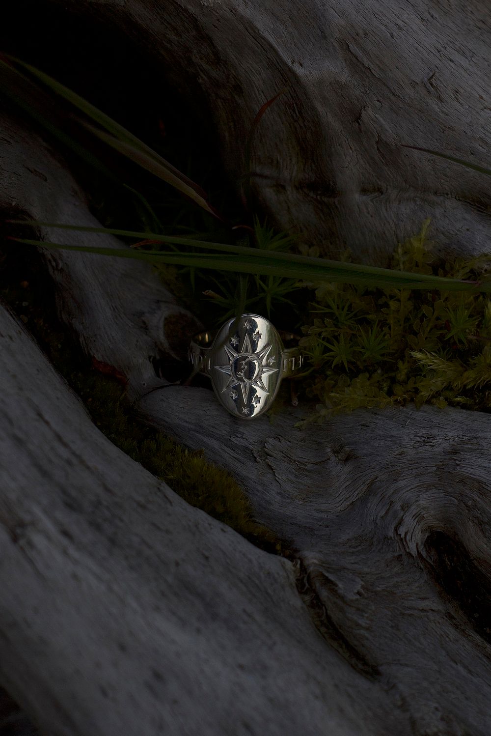 Кольцо Небесный Свет, Луна