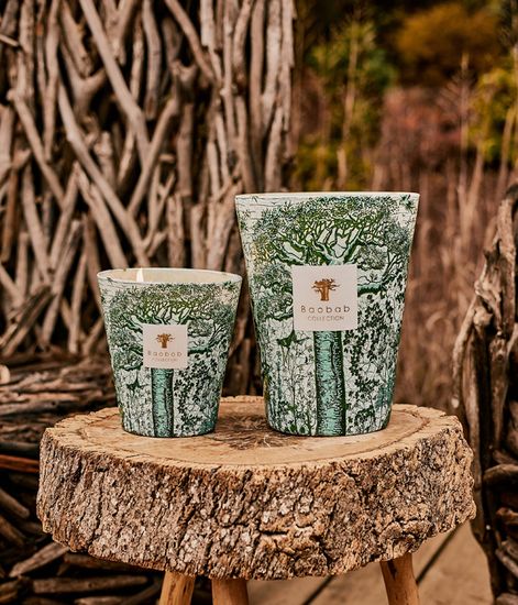 Kamalo, свеча MAX 35 Sacred Trees collection, Baobab Collection