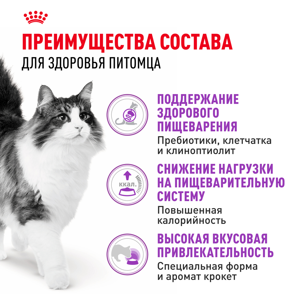 Royal Canin Sensible 33 Корм сухой сбалансированный для взрослых кошек с чувствительной пищеварительной системой - 0,4 кг