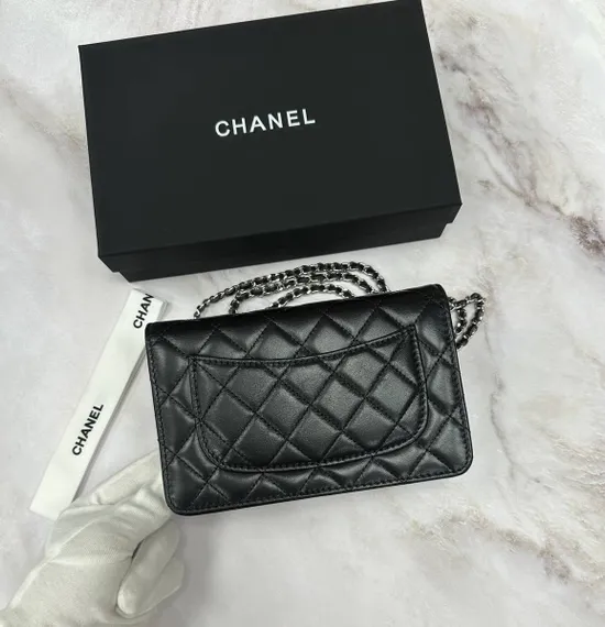Классическая сумка-кошелек на цепочке Chanel Wallet On A Chain