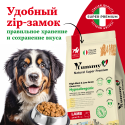 Yummy Linea корм для взрослых собак средних и крупных пород, ягненок, 2,5 кг