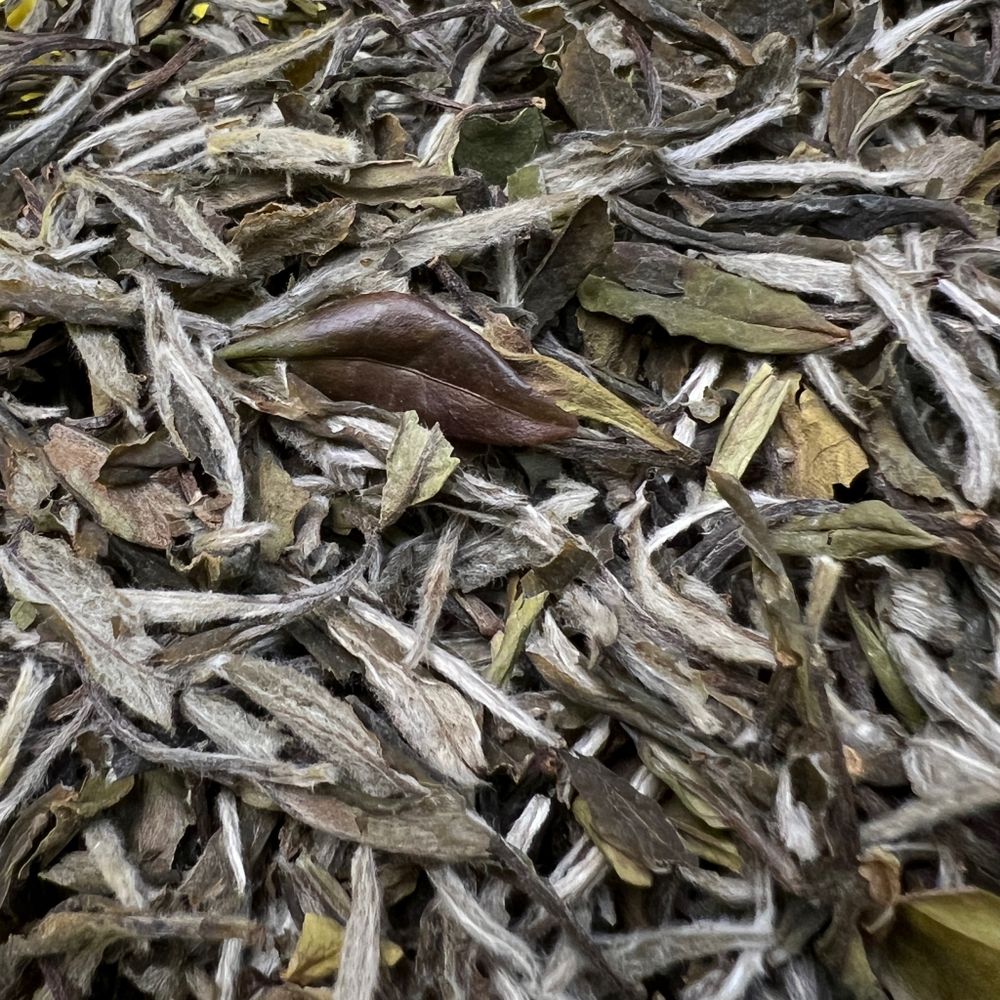 Бай Му Дань "Белый пион" 50 г