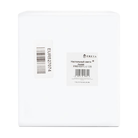 Настольный светильник Freya FR6103TL-L12B