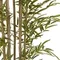 Бамбук высота 210 см, кустистый
