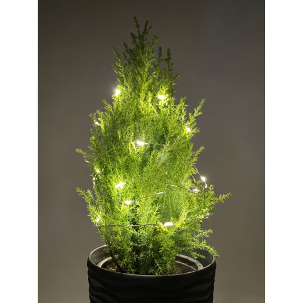 ENIN-2B ЭРА Гирлянда LED Нить 2 м теплый свет, АА, IP20