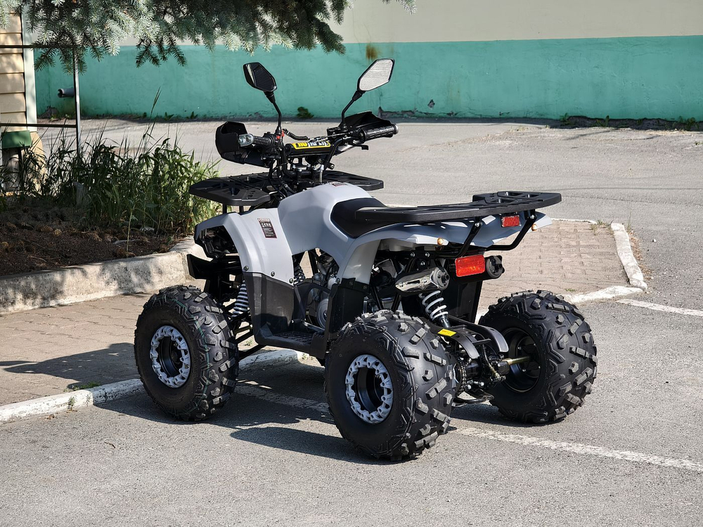 Lion 125 AA серый